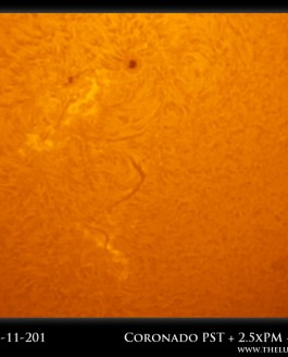 Giant Sunspot Group AR1339